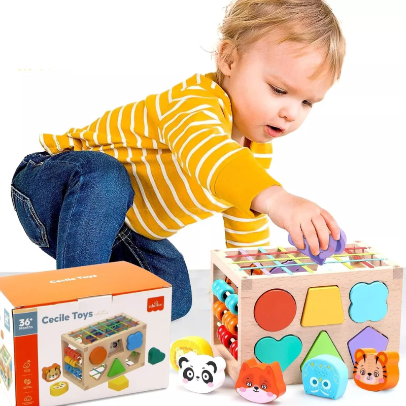 Caja de  Motricidad con Elasticos