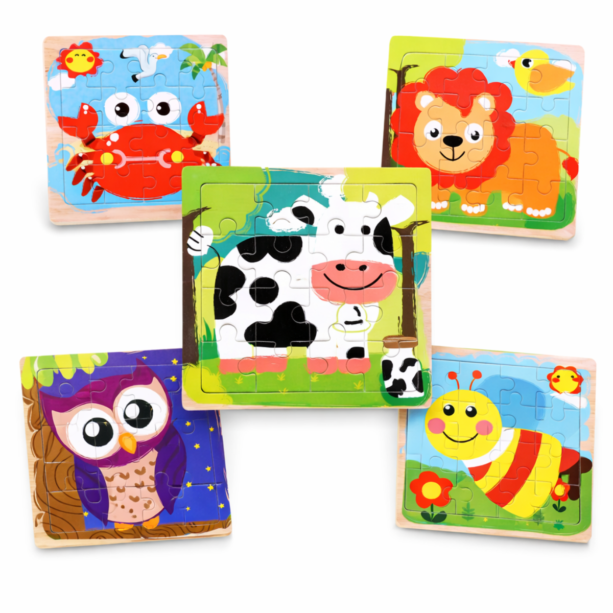 Set de 10 Puzzles de Madera – 16 Piezas